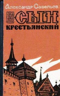 Александр Доронин - Тени колоколов