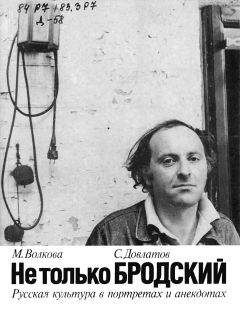 Владимир Соловьев - Быть Сергеем Довлатовым. Трагедия веселого человека