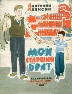 Анатолий Алексин - Дневник жениха