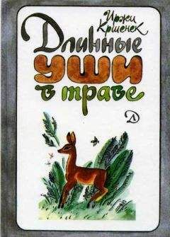 Юрий Самсонов - Путешествие за семь порогов