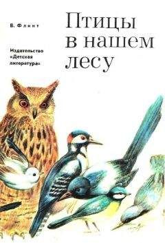 Эрнест Сетон-Томпсон - Отчего синицы раз в году теряют рассудок