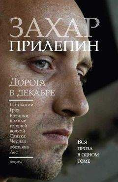 Юрий Покальчук - Дорога через горы