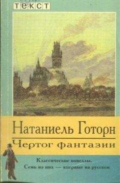 Леопольд Захер-Мазох - Дамская дуэль