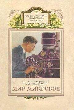 Александр Смородинцев - Беседы о вирусах