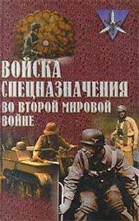  Коллектив авторов - Пограничные войска России в войнах и вооруженных конфликтах XX в.