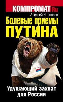 Джеймс Голдгейер - Цель и средства. Политика США в отношении России после «холодной войны»