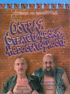 Борис Фрезинский - Об Илье Эренбурге (Книги. Люди. Страны)