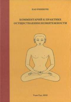 Дильго Кьенце - Комментарий на «37 практик Бодхисаттв»