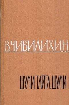 Ирина Врубель-Голубкина - Разговоры в зеркале