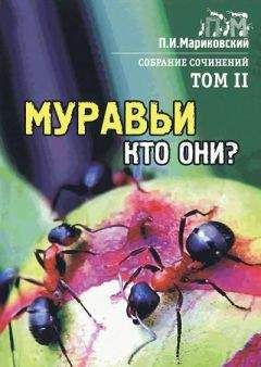 Виктор Гребенников - В стране насекомых. Записки и зарисовки энтомолога и художника.