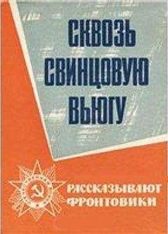 Павел Лукницкий - Сквозь всю блокаду