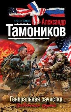 Александр Тамоников - Генеральная зачистка