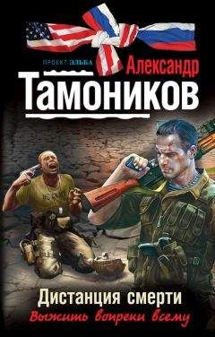 Александр Тамоников - Мститель