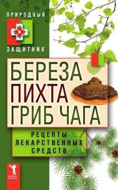 Нина Башкирцева - Березовый и чайный гриб