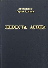 Сергей Булгаков - Купина неопалимая