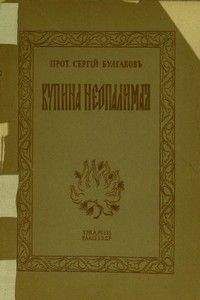 Сергей Булгаков - Свет невечерний. Созерцания и умозрения