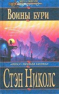 Александр Рудазов - Война колдунов. Штурм цитадели.