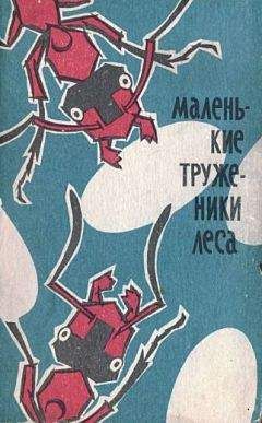 Виктор Гребенников - В стране насекомых. Записки и зарисовки энтомолога и художника.