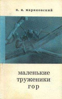 Максим Зверев - Таинственные перья (сборник)