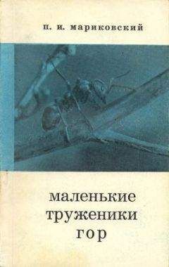 Сергей Кучеренко - Корень жизни: Таежные были