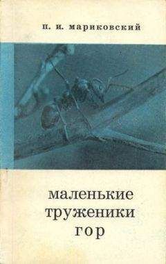 Иосиф Халифман - Операция „Лесные муравьи