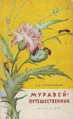 Илья Мельников - Разведение и выращивание раков