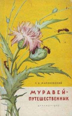 Виктор Гребенников - В стране насекомых. Записки и зарисовки энтомолога и художника.