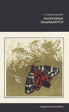 Жан-Анри Фабр - Жизнь насекомых. Рассказы энтомолога