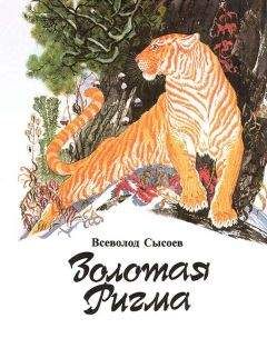 Всеволод Нестайко - Супер «Б» с «фрикадельками»