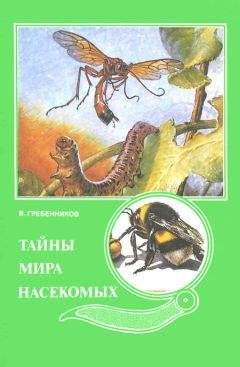 Павел Мариковский - Чем питаются насекомые