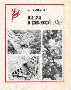 Валерий Маслов - Записки сахалинского таёжника