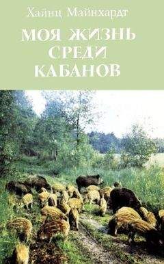 Любовь Кашинская - Мир животных