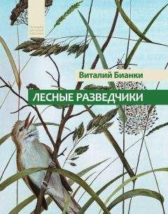 Виталий Бианки - Мурзук (сборник)