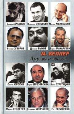 Михаил Веллер - Долина идолов