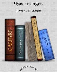 Санин Евгений - Денарий кесаря