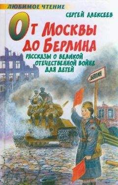 Сергей Алексеев - Богатырские фамилии (Рассказы)