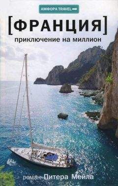 Алан Розенспен - Исповедь одержимого эффективностью