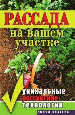 Галина Кизима - Крепкая рассада – богатый урожай. Все секреты опытного огородника