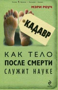 В. Наумов - Лаврентий Берия. 1953. Стенограмма июльского пленума ЦК КПСС и другие документы.