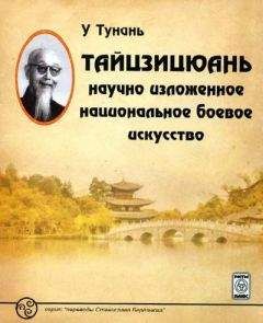 У Тунань  - Тайцзицюань: научно изложенное национальное боевое искусство