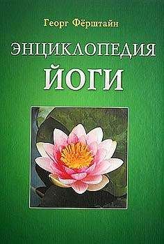 Георг Шустер - История тайных обществ, союзов и орденов