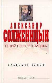 Владимир Бушин - Гении и прохиндеи