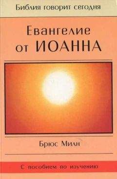 Георгий Чистяков - Размышления о Евангелии от Иоанна