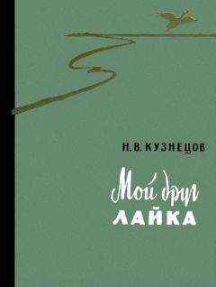 Илга Понорницкая - Дом людей и зверей