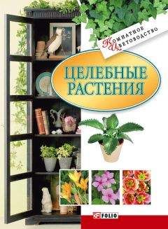 Георгий Левандовский - Лекарственные растения вашего сада