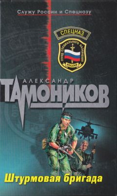 Александр Тамоников - Черный город