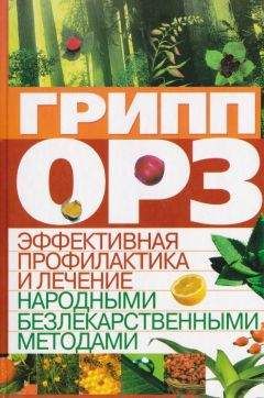 Виктор Ильин - 250 рецептов от простуды и гриппа