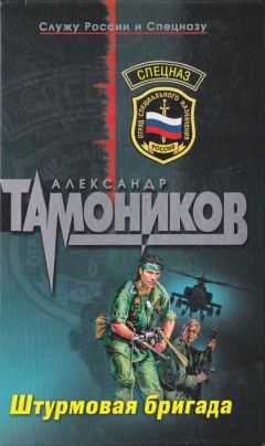 Александр Тамоников - Черный город