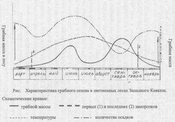 Группа авторов  - Выращивание грибов