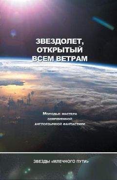 Дэвид Уильямс - Звездолёт, открытый всем ветрам (сборник)